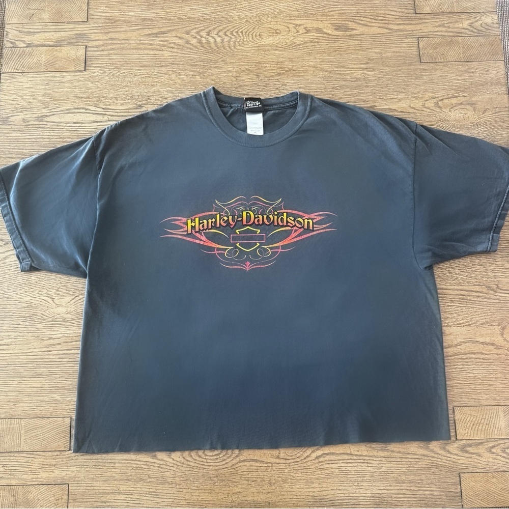 Vintage Harley-Davidson Flame Eagle Print H-D Burton, MI Cropped boxy Fit 3XL - Picture 2 of 6